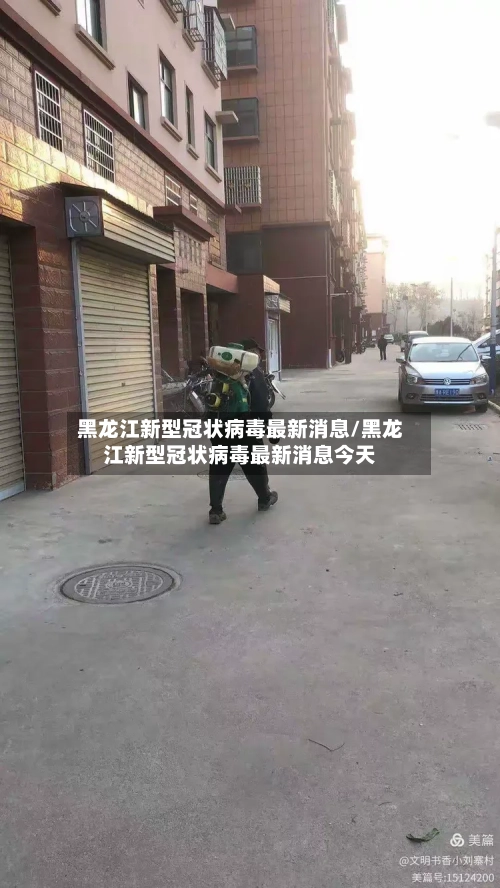 黑龙江新型冠状病毒最新消息/黑龙江新型冠状病毒最新消息今天-第2张图片