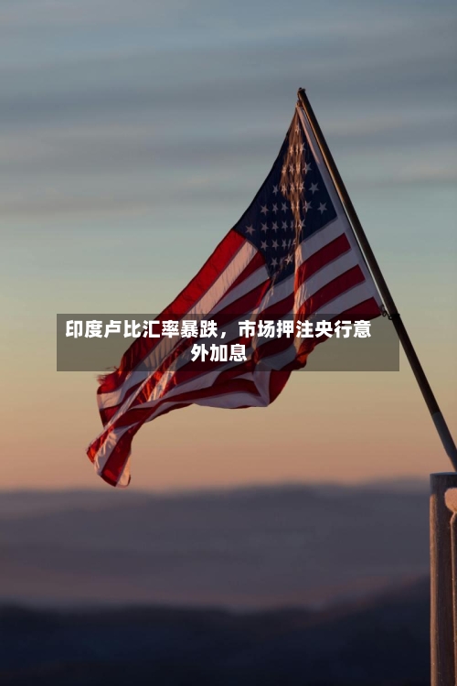 印度卢比汇率暴跌，市场押注央行意外加息-第2张图片