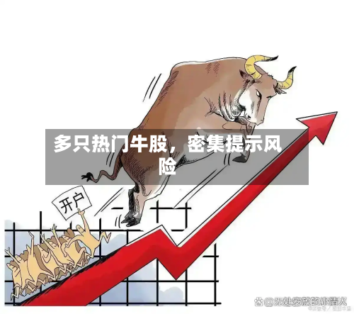 多只热门牛股，密集提示风险-第2张图片