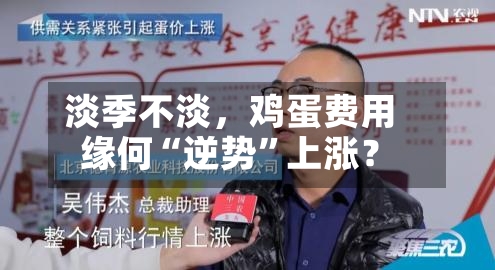 淡季不淡，鸡蛋费用缘何“逆势	”上涨？-第2张图片