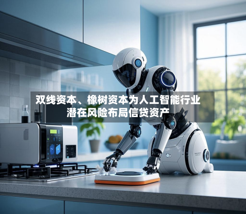 双线资本、橡树资本为人工智能行业潜在风险布局信贷资产-第2张图片