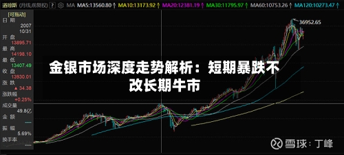 金银市场深度走势解析：短期暴跌不改长期牛市-第3张图片