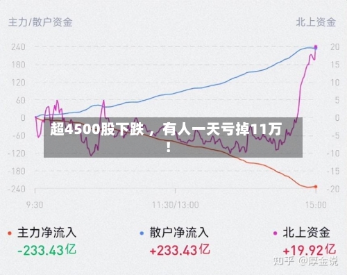 超4500股下跌 	，有人一天亏掉11万！-第2张图片