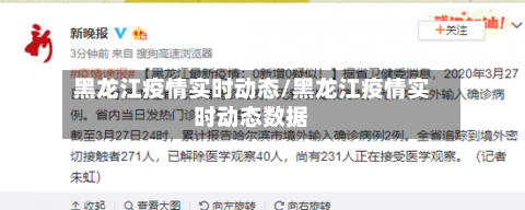 黑龙江疫情实时动态/黑龙江疫情实时动态数据