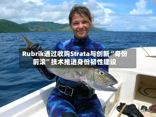 Rubrik通过收购Strata与创新“身份前滚”技术推进身份韧性建设-第2张图片