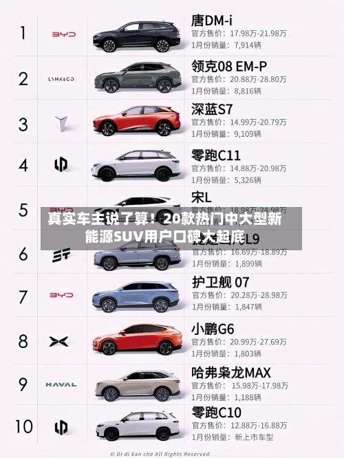 真实车主说了算！20款热门中大型新能源SUV用户口碑大起底-第2张图片