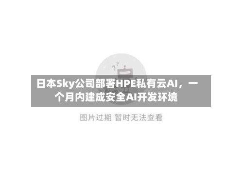 日本Sky公司部署HPE私有云AI，一个月内建成安全AI开发环境-第3张图片