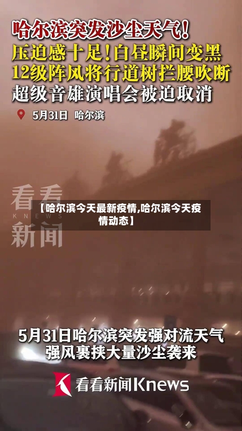 【哈尔滨今天最新疫情,哈尔滨今天疫情动态】