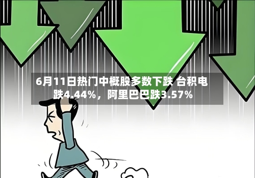 6月11日热门中概股多数下跌 台积电跌4.44%，阿里巴巴跌3.57%-第3张图片
