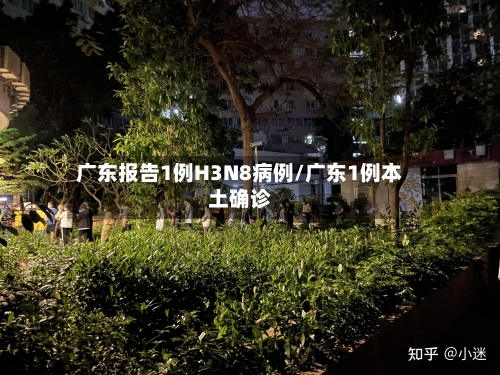 广东报告1例H3N8病例/广东1例本土确诊