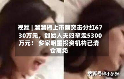 视频 | 溜溜梅上市前突击分红6730万元，创始人夫妇拿走5300万元！ 多家明星投资机构已清仓离场-第2张图片