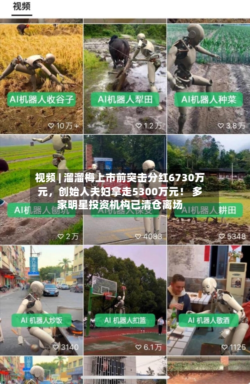 视频 | 溜溜梅上市前突击分红6730万元	，创始人夫妇拿走5300万元！ 多家明星投资机构已清仓离场-第3张图片