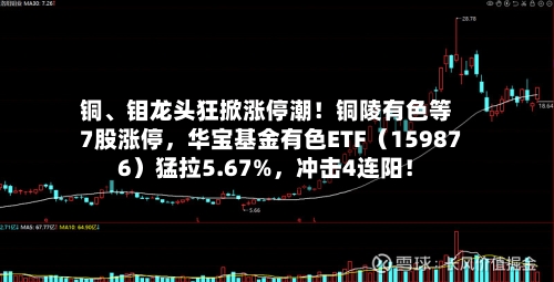铜、钼龙头狂掀涨停潮！铜陵有色等7股涨停	，华宝基金有色ETF（159876）猛拉5.67%，冲击4连阳！-第2张图片