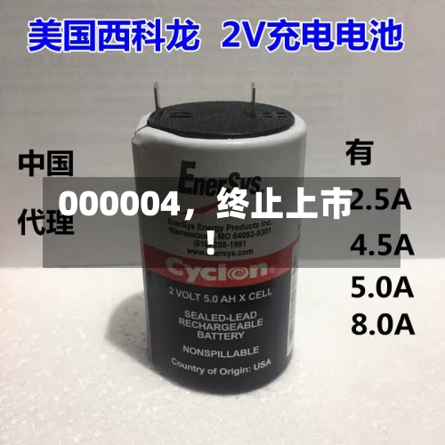 000004	，终止上市！-第2张图片