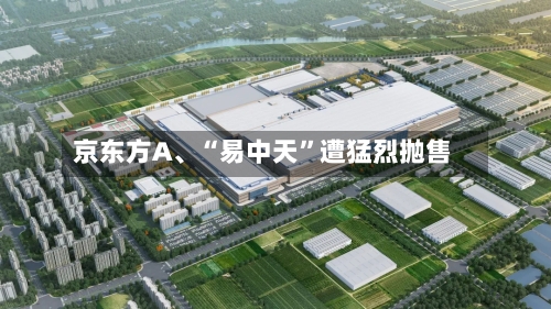 京东方A、“易中天”遭猛烈抛售-第2张图片