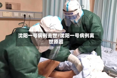 沈阳一号病例去世/沈阳一号病例离世原因-第2张图片