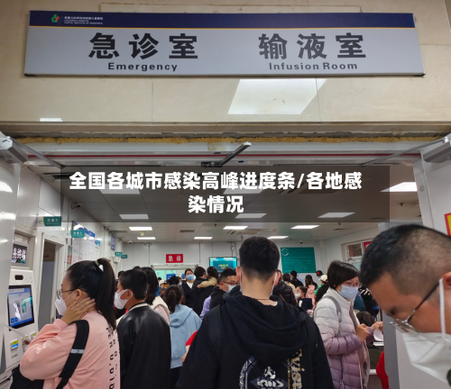 全国各城市感染高峰进度条/各地感染情况