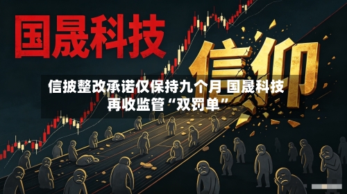 信披整改承诺仅保持九个月 国晟科技再收监管“双罚单	”-第2张图片