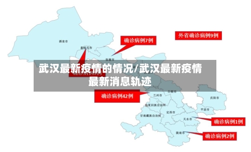 武汉最新疫情的情况/武汉最新疫情最新消息轨迹-第2张图片
