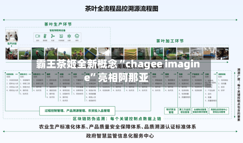 霸王茶姬全新概念“chagee imagine”亮相阿那亚-第3张图片