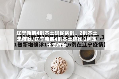 辽宁新增4例本土确诊病例、2例本土无症状/辽宁新增4例本土确诊 3例本土无症状-第2张图片
