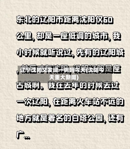 辽宁沈阳又发现一例吗今天(沈阳今天重大新闻)