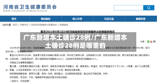 广东新增本土确诊28例/广东新增本土确诊28例是哪里的-第2张图片