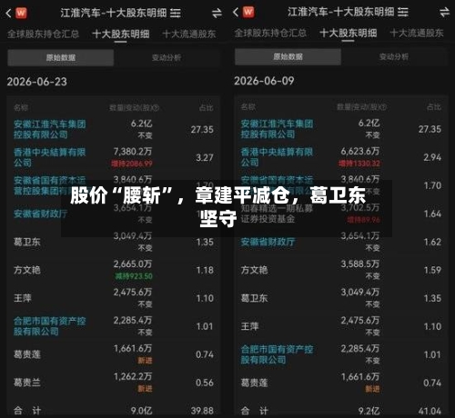 股价“腰斩	”	，章建平减仓，葛卫东坚守-第2张图片