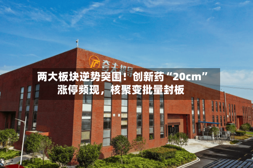 两大板块逆势突围！创新药“20cm”涨停频现，核聚变批量封板-第3张图片