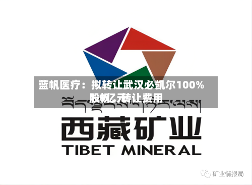 蓝帆医疗：拟转让武汉必凯尔100%股权，转让费用1.9亿元-第2张图片