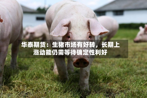 华泰期货：生猪市场有好转，长期上涨动能仍需等待确定性利好-第3张图片
