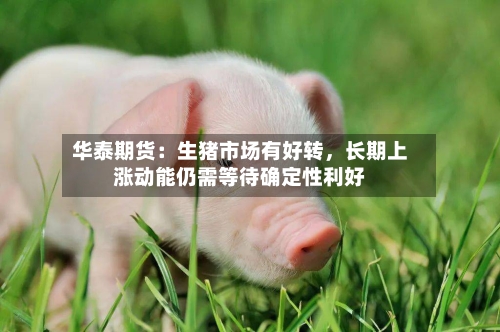 华泰期货：生猪市场有好转	，长期上涨动能仍需等待确定性利好-第2张图片