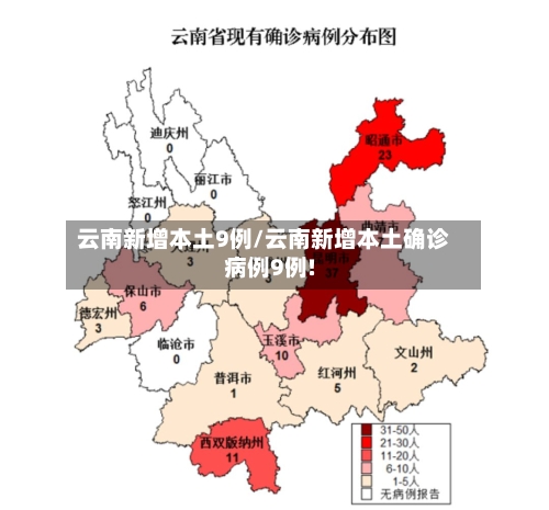 云南新增本土9例/云南新增本土确诊病例9例!-第2张图片