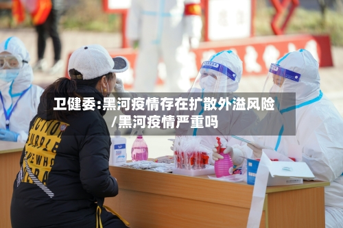 卫健委:黑河疫情存在扩散外溢风险/黑河疫情严重吗
