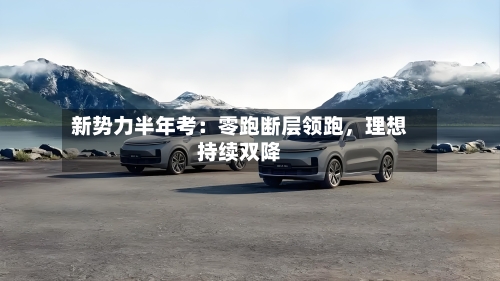 新势力半年考：零跑断层领跑，理想持续双降-第2张图片