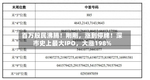 百万股民沸腾！刚刚，涨到停牌！深市史上最大IPO	，大涨198%-第2张图片