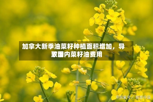加拿大新季油菜籽种植面积增加	，导致国内菜籽油费用下滑-第2张图片