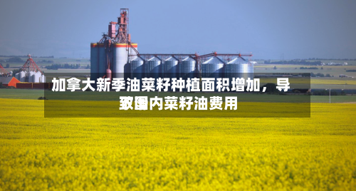 加拿大新季油菜籽种植面积增加，导致国内菜籽油费用下滑-第3张图片