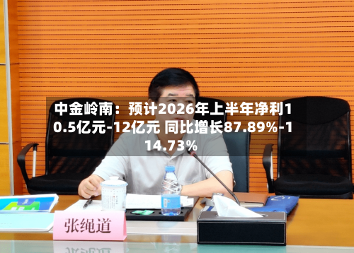 中金岭南：预计2026年上半年净利10.5亿元-12亿元 同比增长87.89%-114.73%-第2张图片