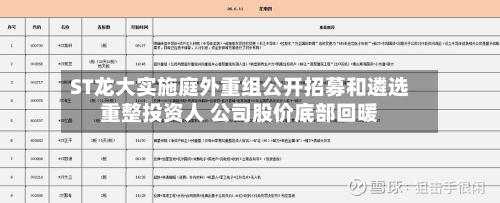 ST龙大实施庭外重组公开招募和遴选重整投资人 公司股价底部回暖-第3张图片