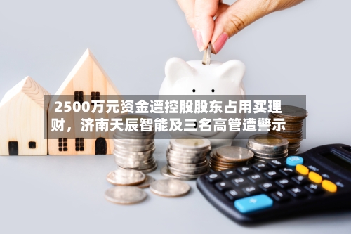 2500万元资金遭控股股东占用买理财，济南天辰智能及三名高管遭警示-第3张图片