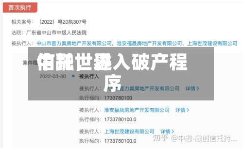 中融世界信托	，进入破产程序-第2张图片