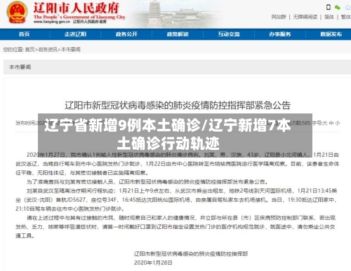 辽宁省新增9例本土确诊/辽宁新增7本土确诊行动轨迹-第2张图片