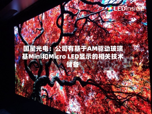 国星光电：公司有基于AM驱动玻璃基Mini和Micro LED显示的相关技术储备-第2张图片