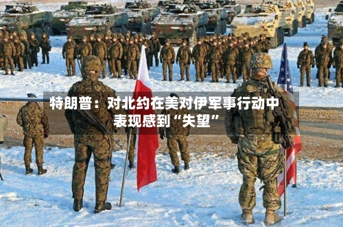 特朗普：对北约在美对伊军事行动中表现感到“失望”-第3张图片