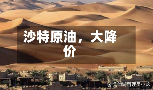 沙特原油，大降价-第2张图片