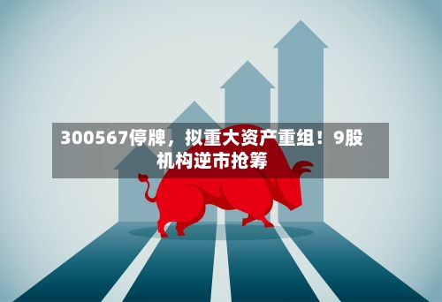 300567停牌，拟重大资产重组！9股机构逆市抢筹-第3张图片