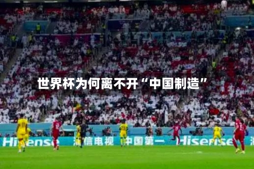 世界杯为何离不开“中国制造”-第2张图片