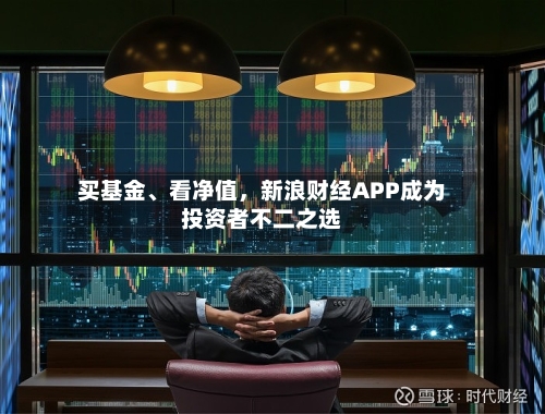买基金	、看净值	，新浪财经APP成为投资者不二之选-第3张图片