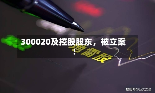 300020及控股股东，被立案！-第2张图片
